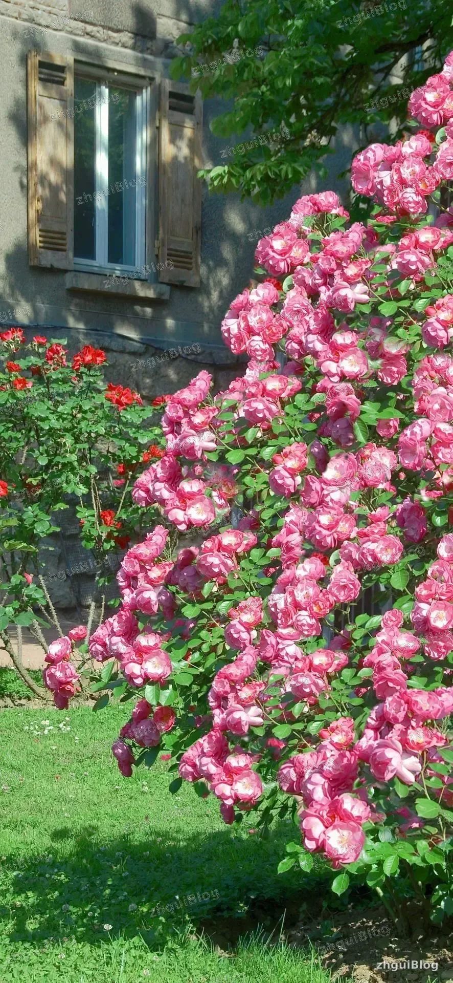 鲜花