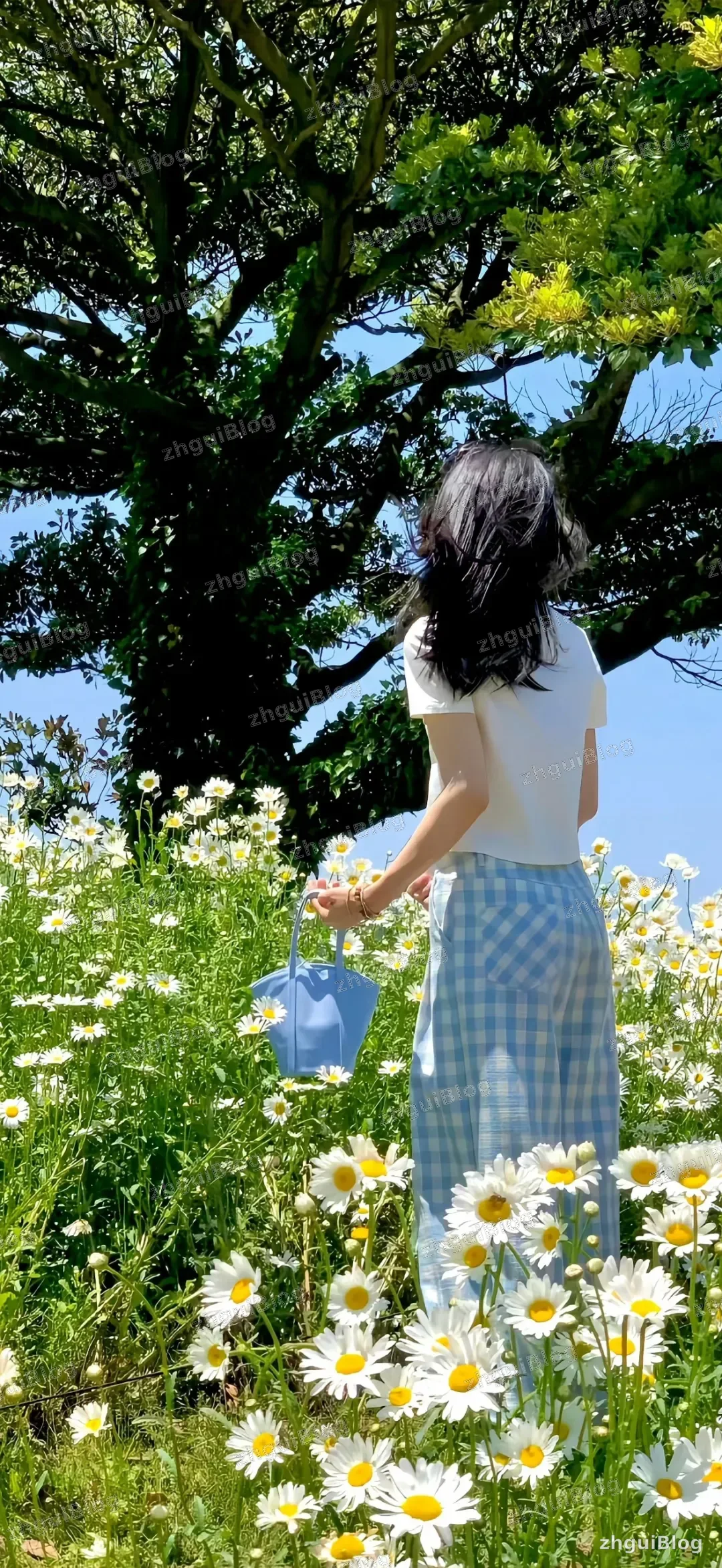 小姐姐