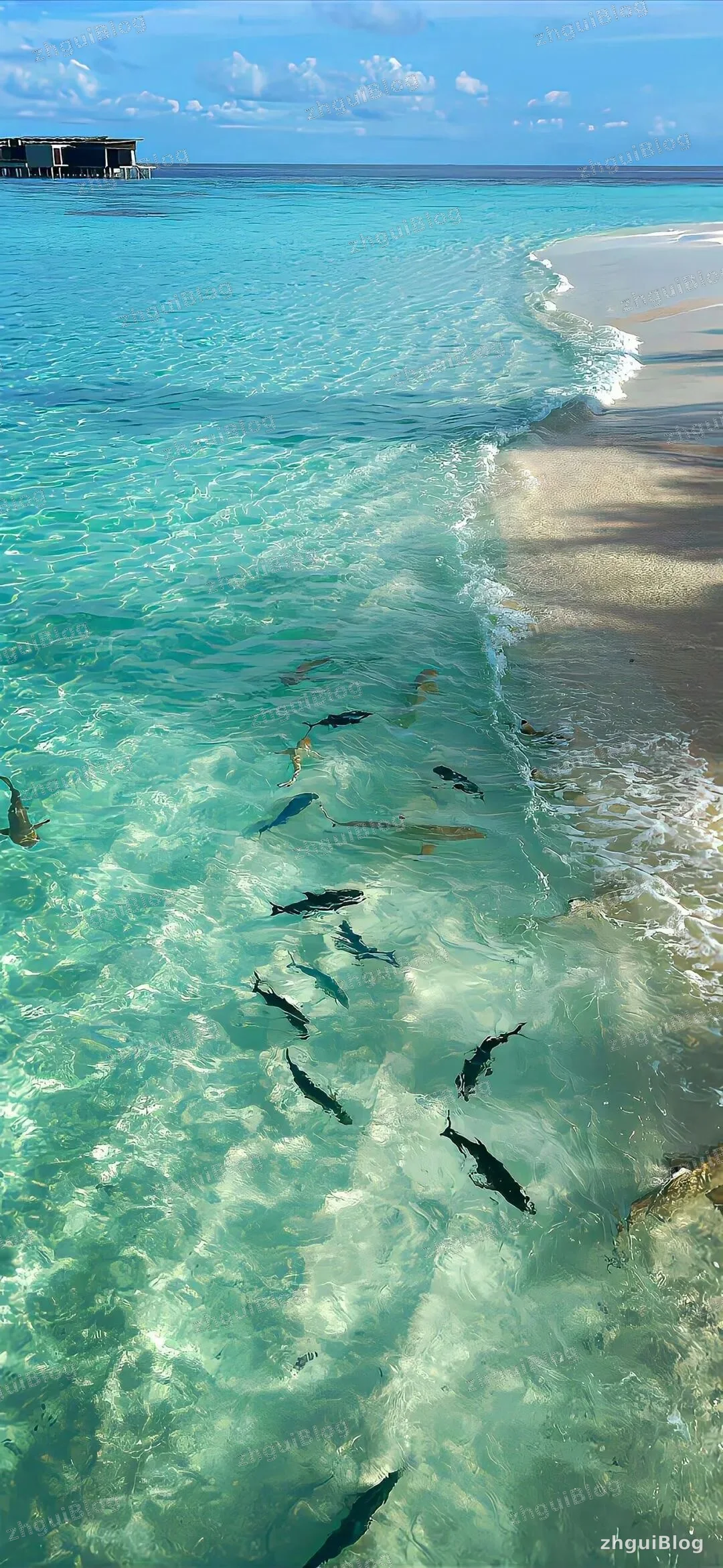 海景