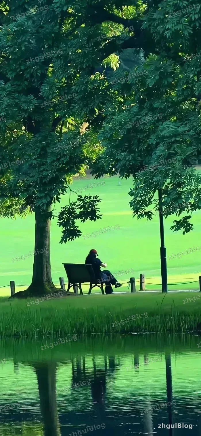 风景