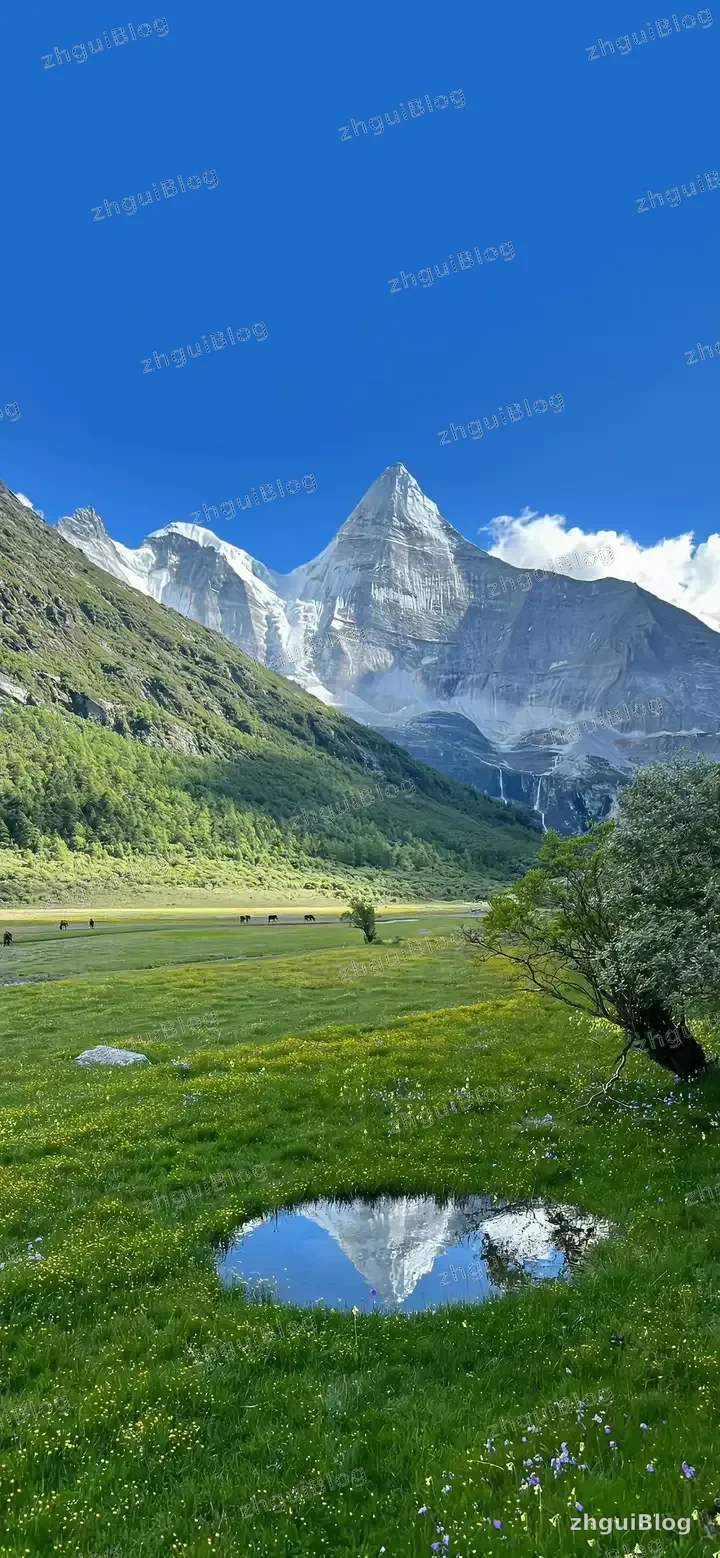 风景