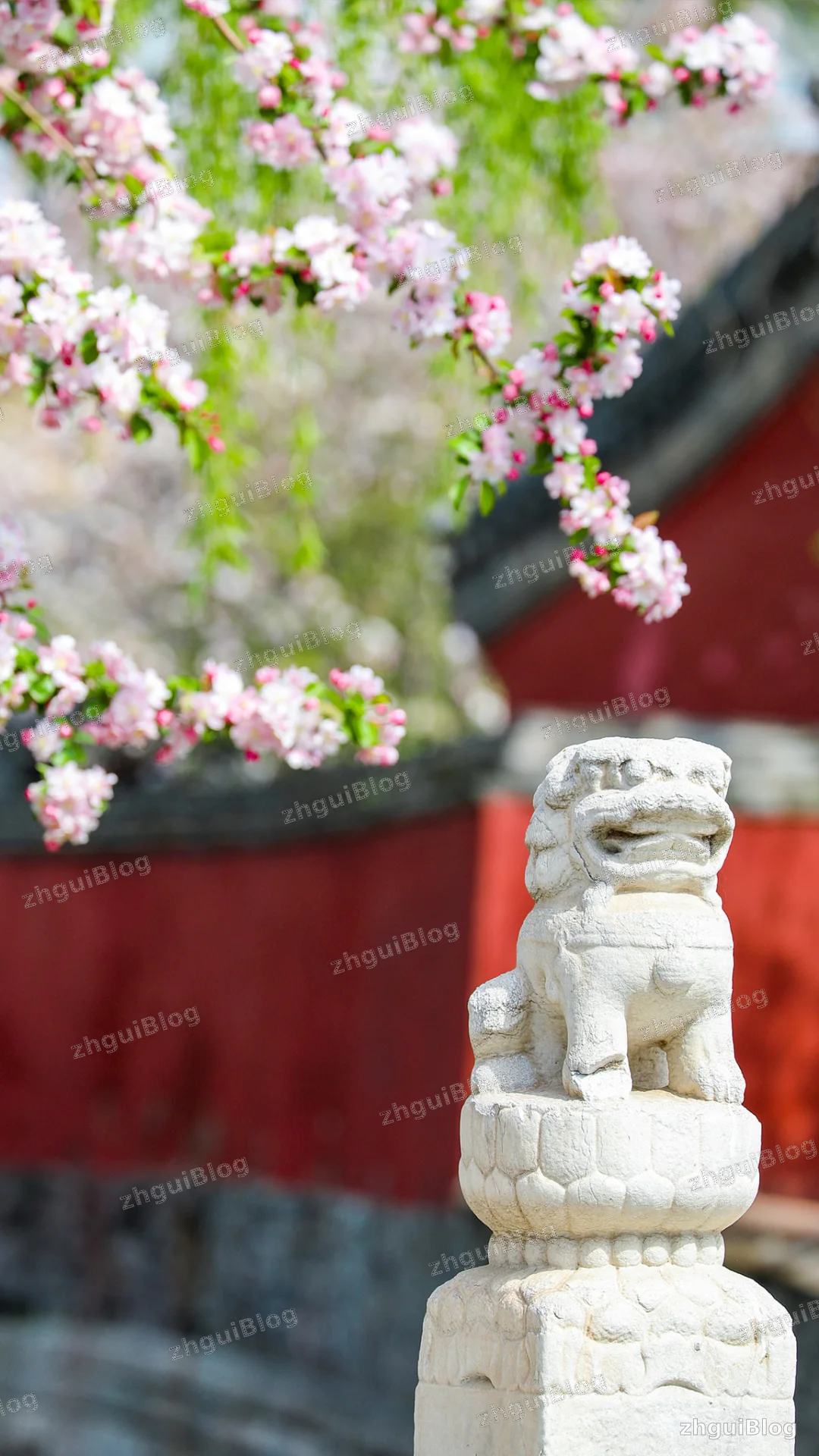故宫博物院