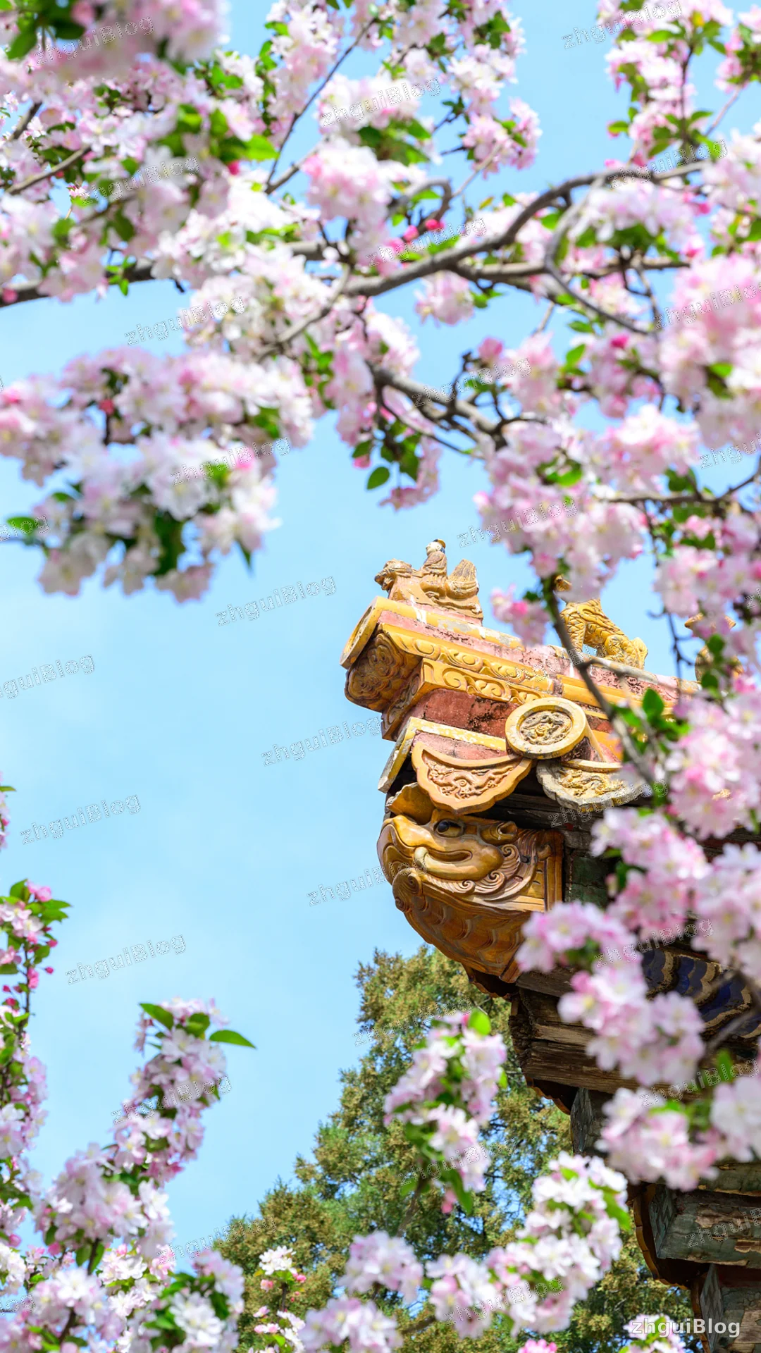 故宫博物院