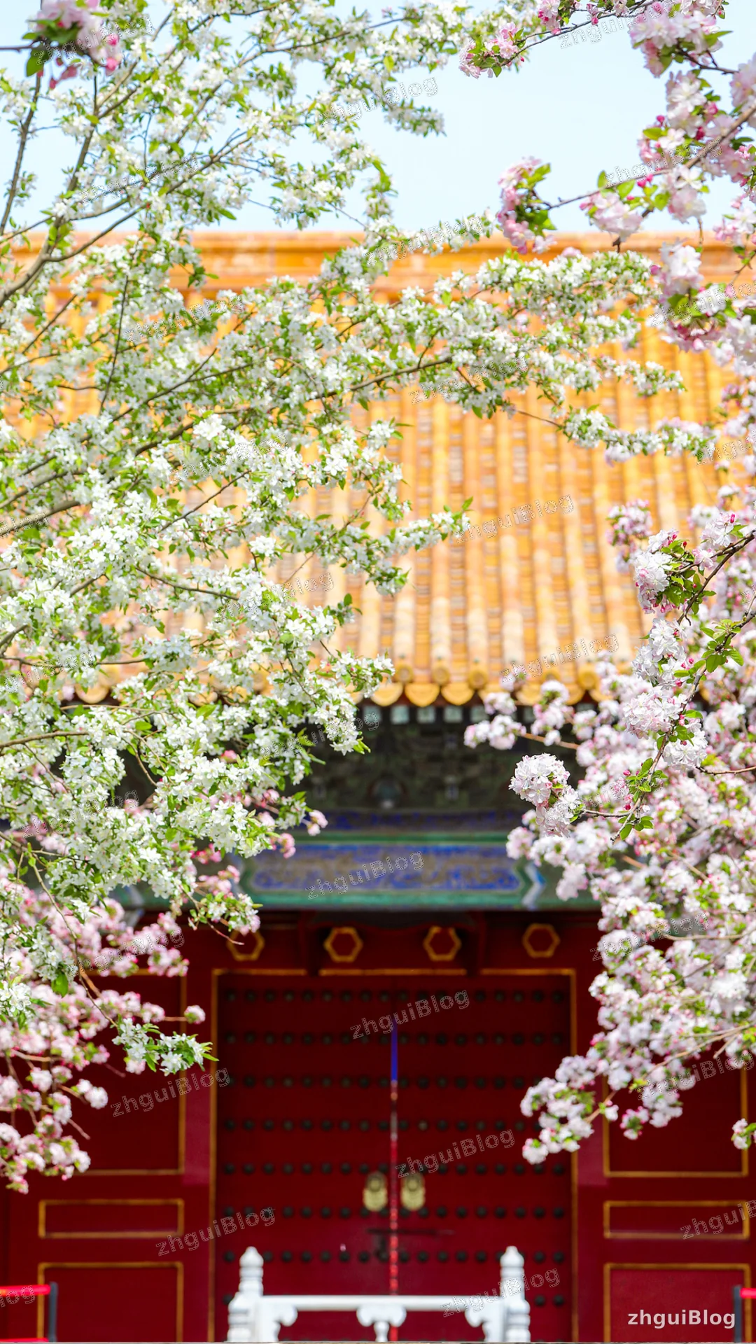 故宫博物院