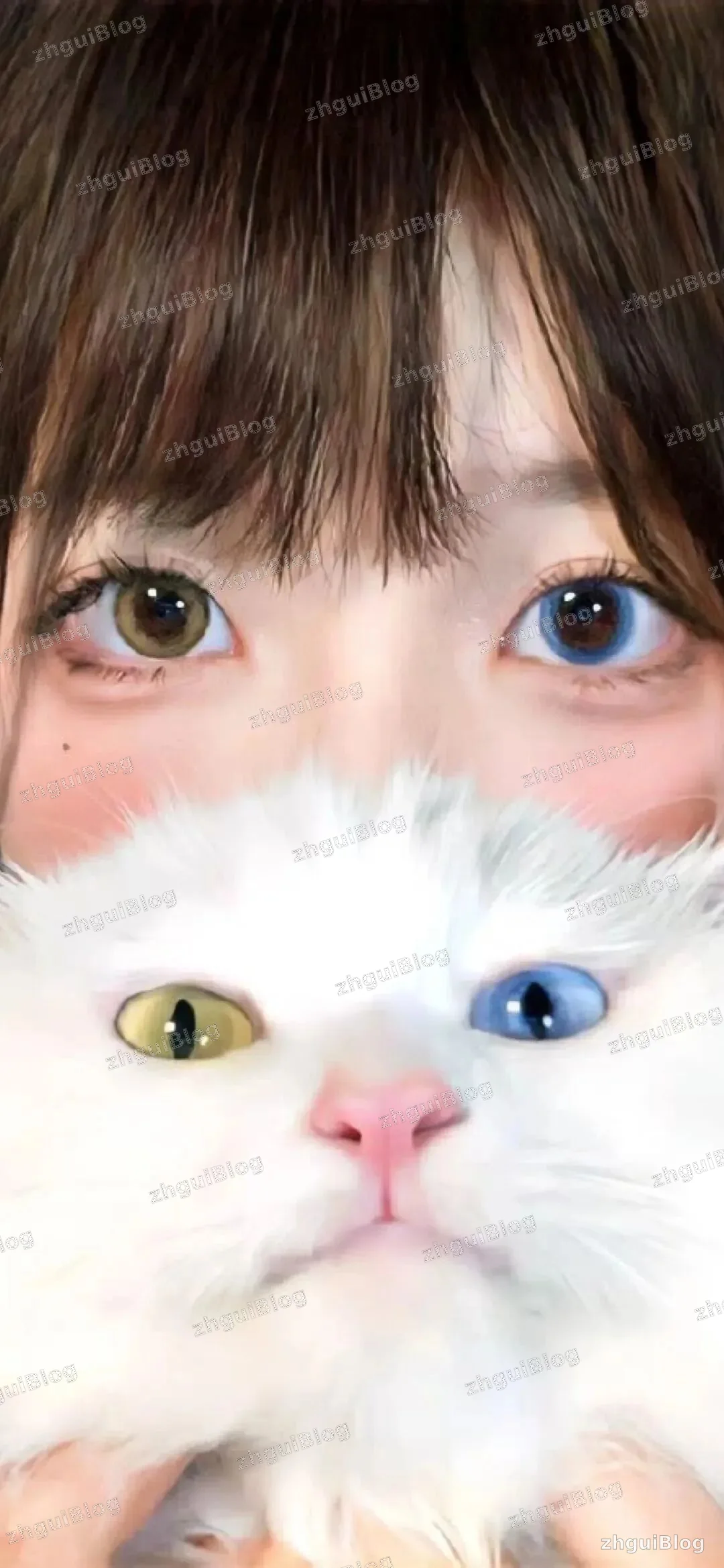 小姐姐