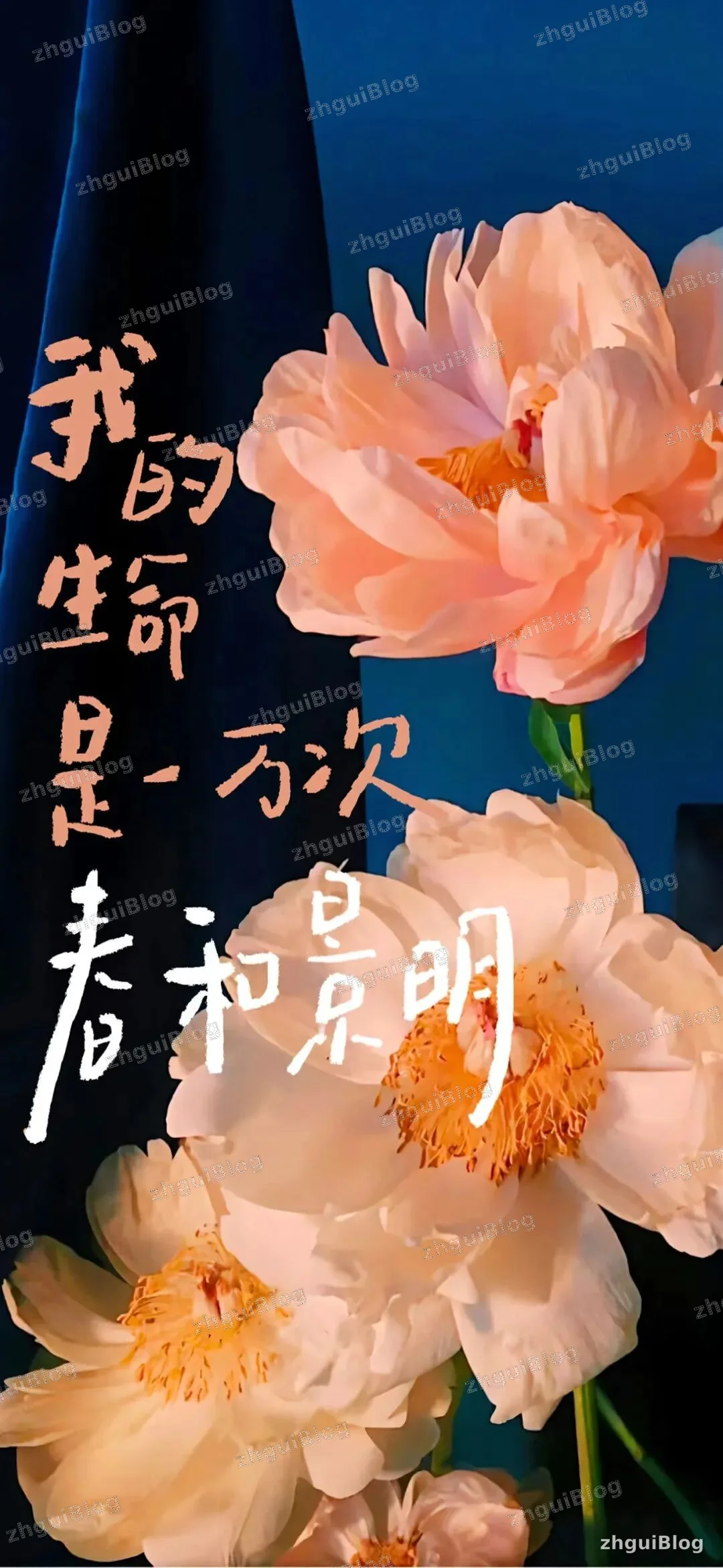 创意壁纸